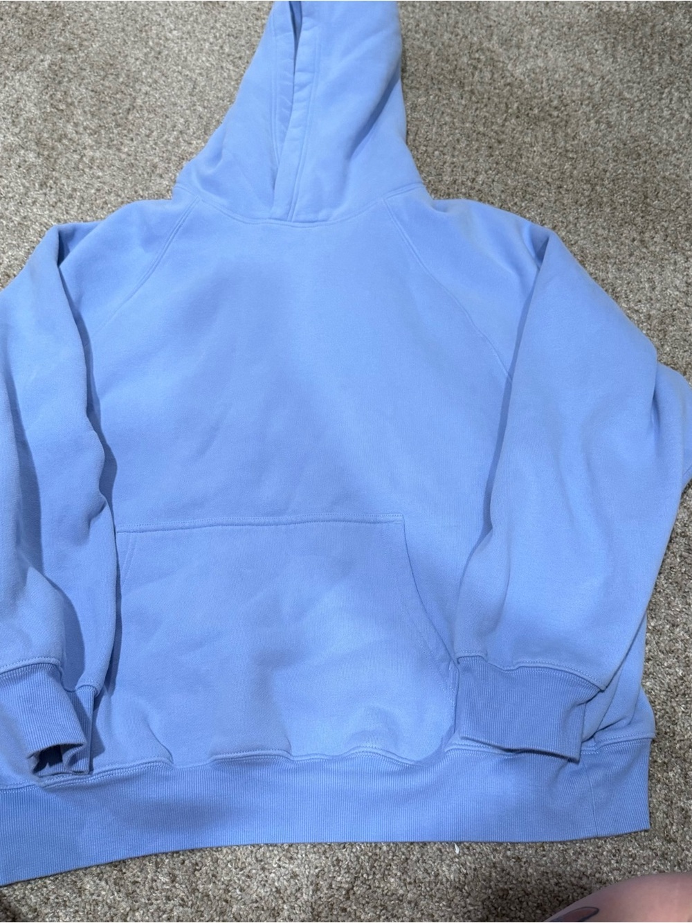 Aritzia Sweatfleece Mega Fit Hoodie